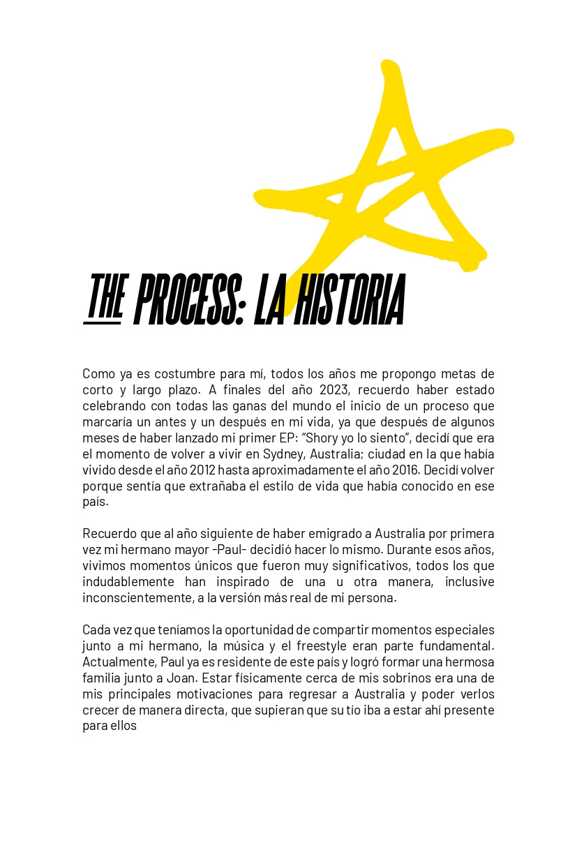 E-book  "The Process"