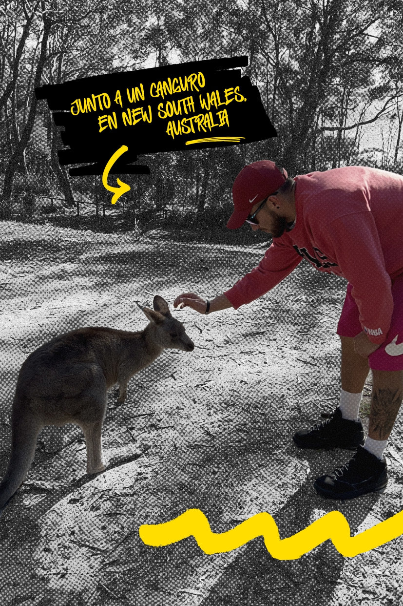 E-book  "The Process"